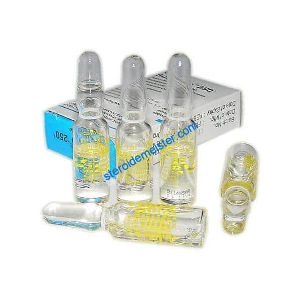 SUSTANON Organon in 250 Karachi Pakistan 1 Ampulle 1 SUSTANON Organon in 250 Karachi Pakistan 1 Ampulle