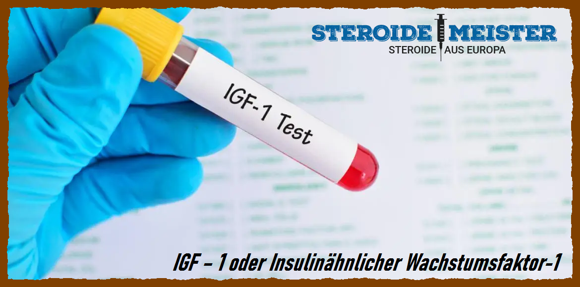 IGF-1 – Insulinähnlicher Wachstumsfaktor-1: Wirkung, Anwendung und potenzielle Vorteile im Bodybuilding