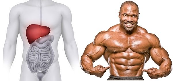 So heben Sie Ihr Produkt mit nandrolone decanoate hervor