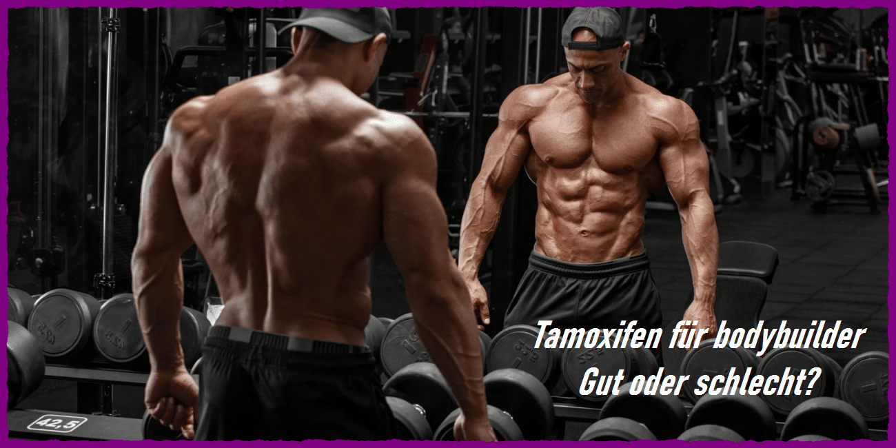 Tamoxifen für Bodybuilder – Vor- und Nachteile der Anwendung im Bodybuilding