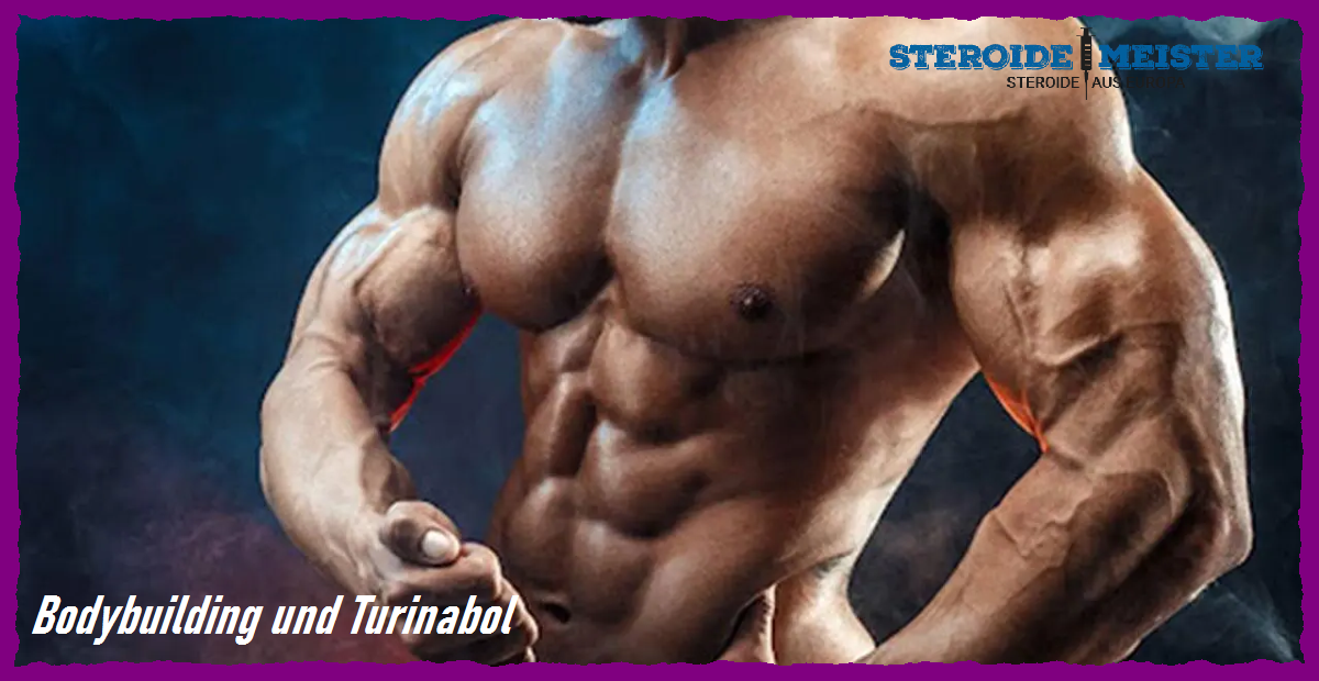 Bodybuilding und Turinabol – Vorteile, Dosierung und mögliche Nebenwirkungen des Steroids