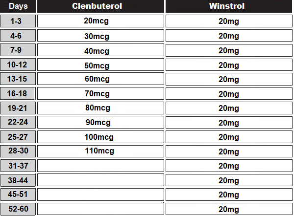 Bild zeigt Clenbuterol und Winstrol Zyklus Zeitplan