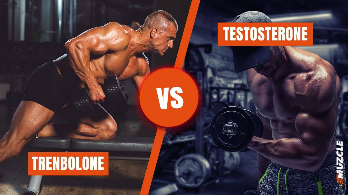 Trenbolon vs. Testosteron Vergleich