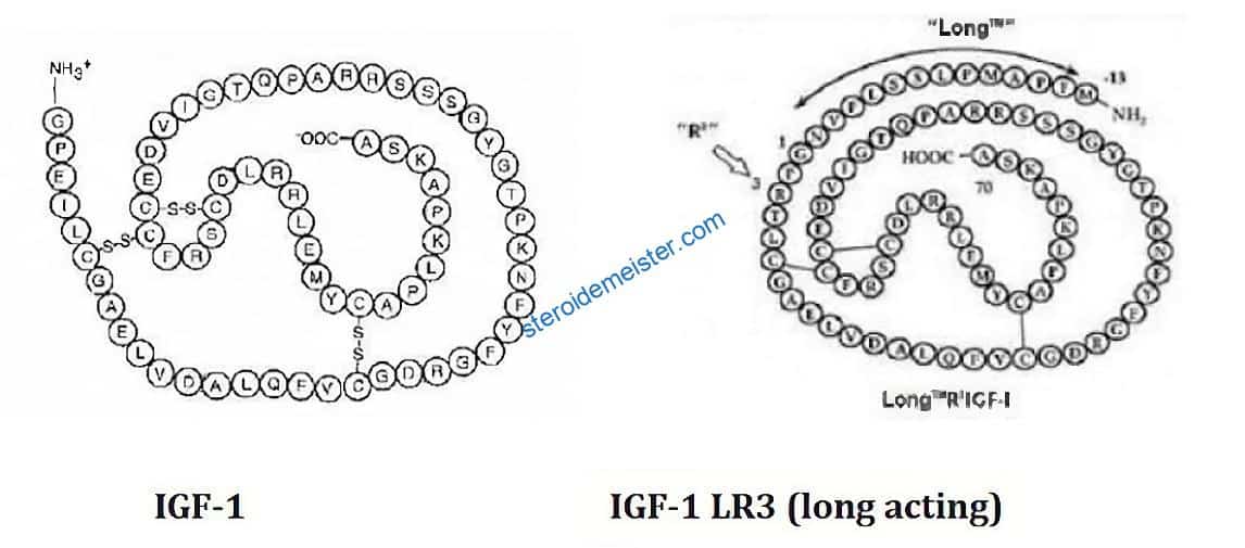 IGF-1 LR3 Verpackung - Driada Medical Peptid für Muskelwachstum