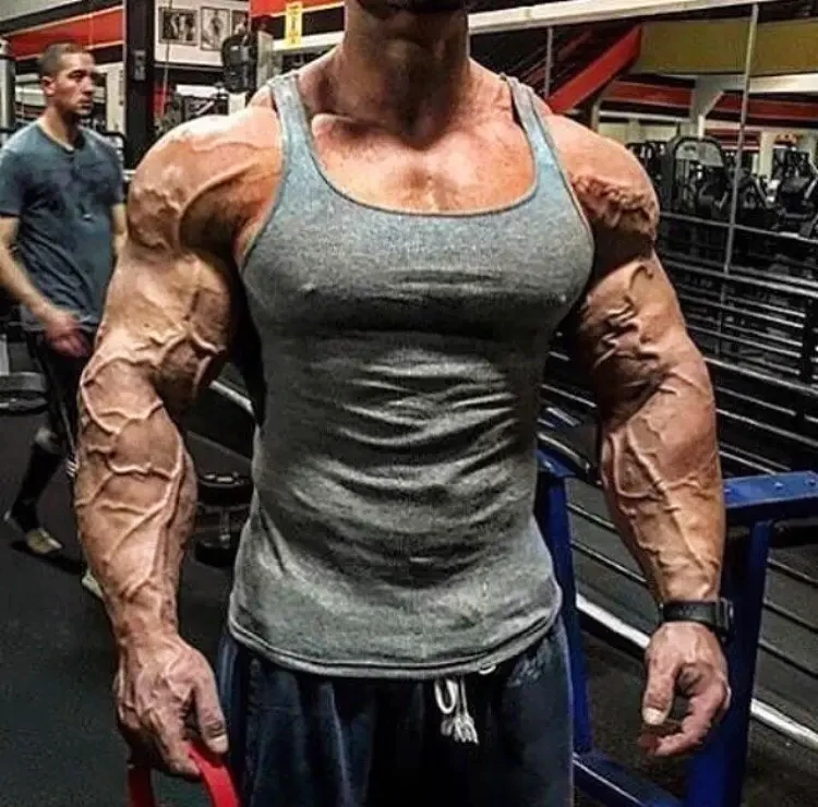 turinabol vs anavar