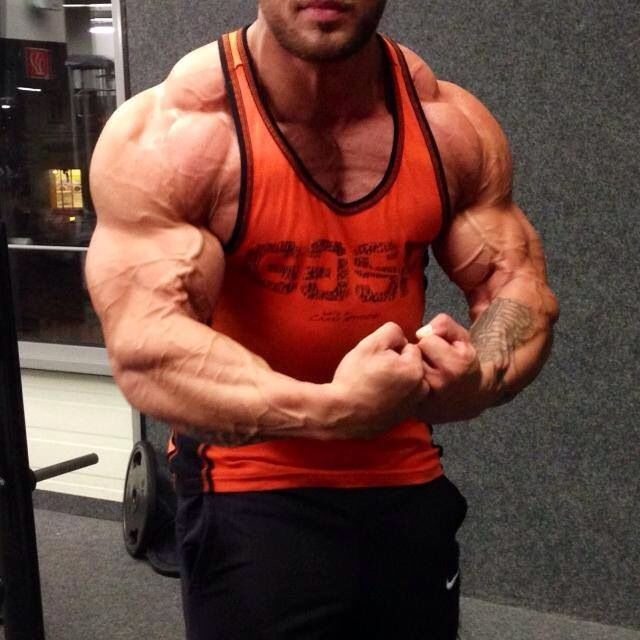 Primobolan vs. Anavar – die zwei besten Steroide zur Fettverbrennung 3 Bodybuilder nach seinem Primobolan-Anavar-Zyklus – 10 Kilo mehr